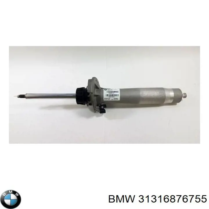  31316876755 BMW