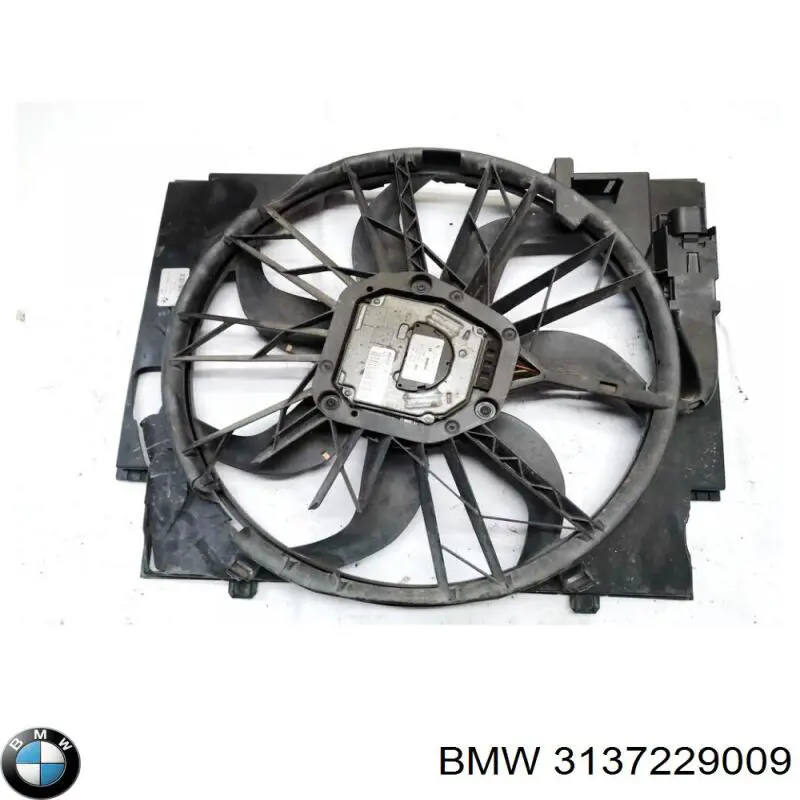  3137229009 BMW