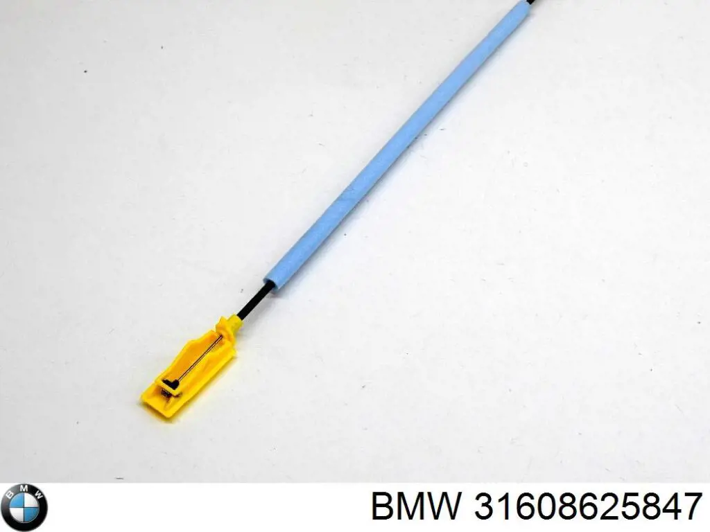 31608625847 BMW Пыльник шарнира привода
