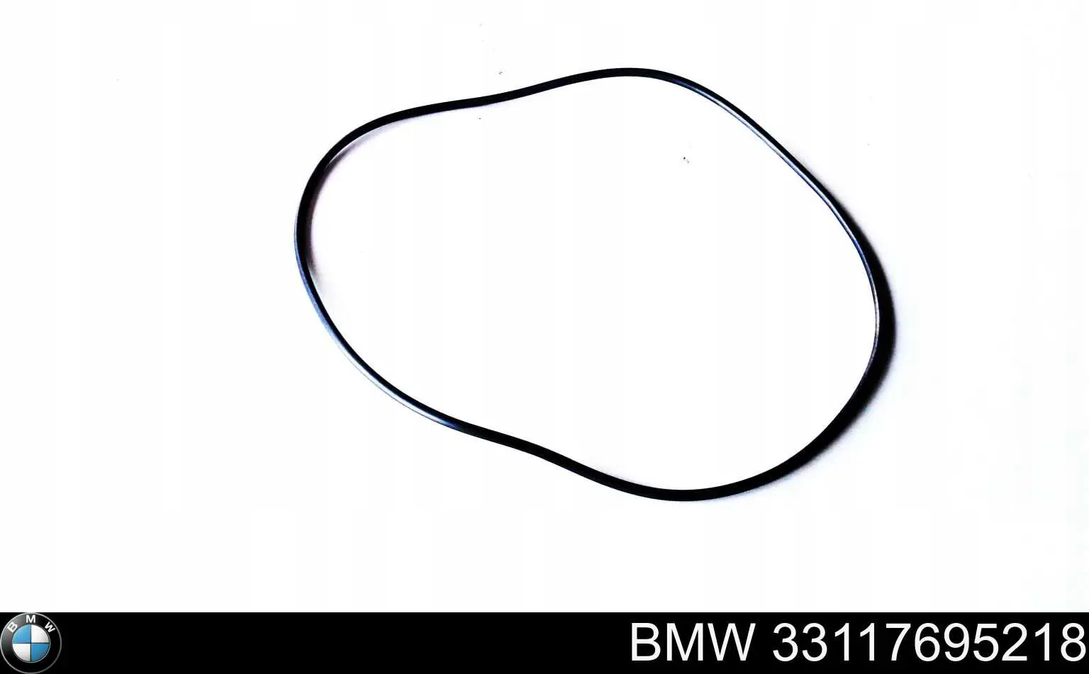 33117695218 BMW 