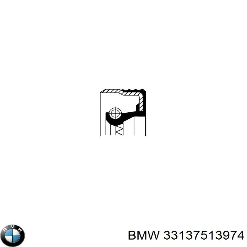 33137513974 BMW 