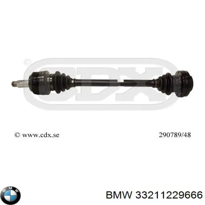  33211229666 BMW