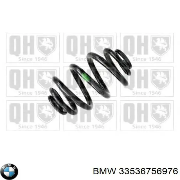 33536756976 BMW mola traseira