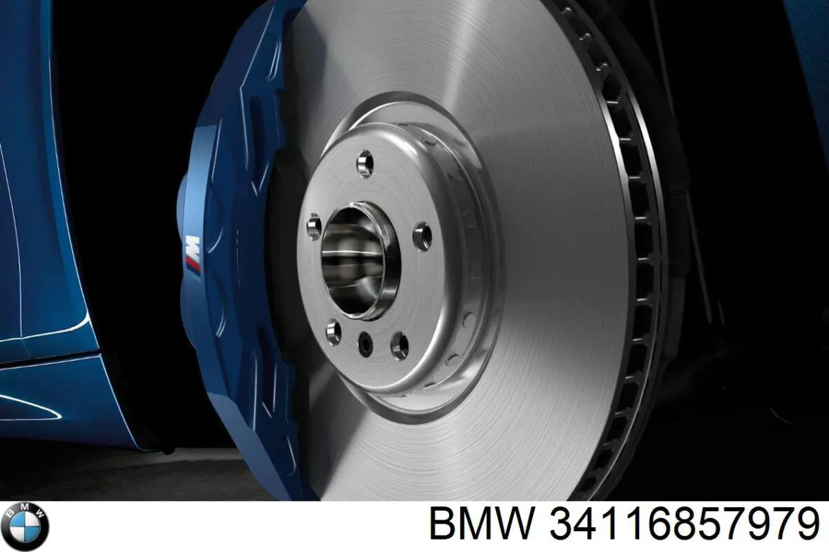 Защита тормозного диска переднего левого 34106895051 BMW