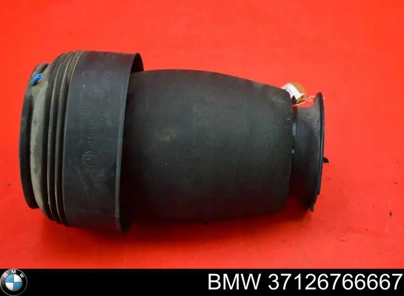 37126766667 BMW 
