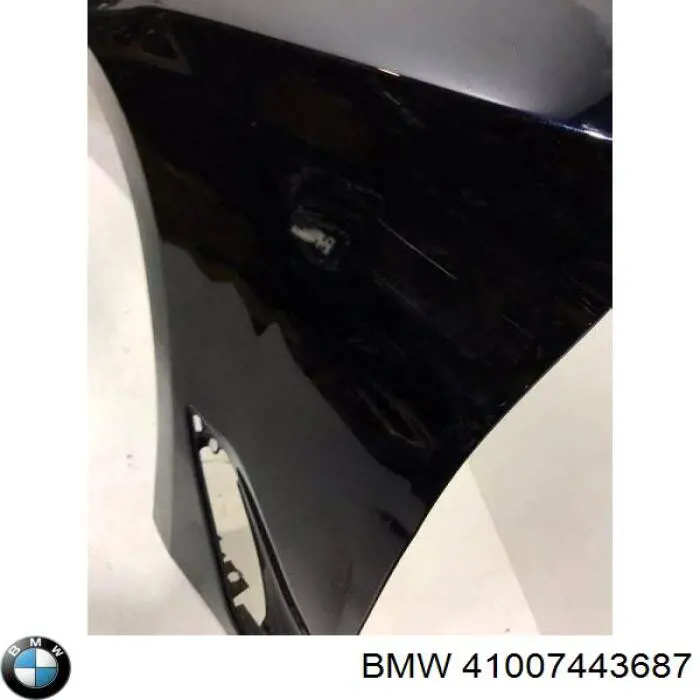 41007443687 BMW Pára-lama dianteiro esquerdo