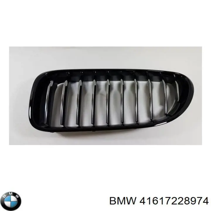 Capó del motor 41617228974 BMW