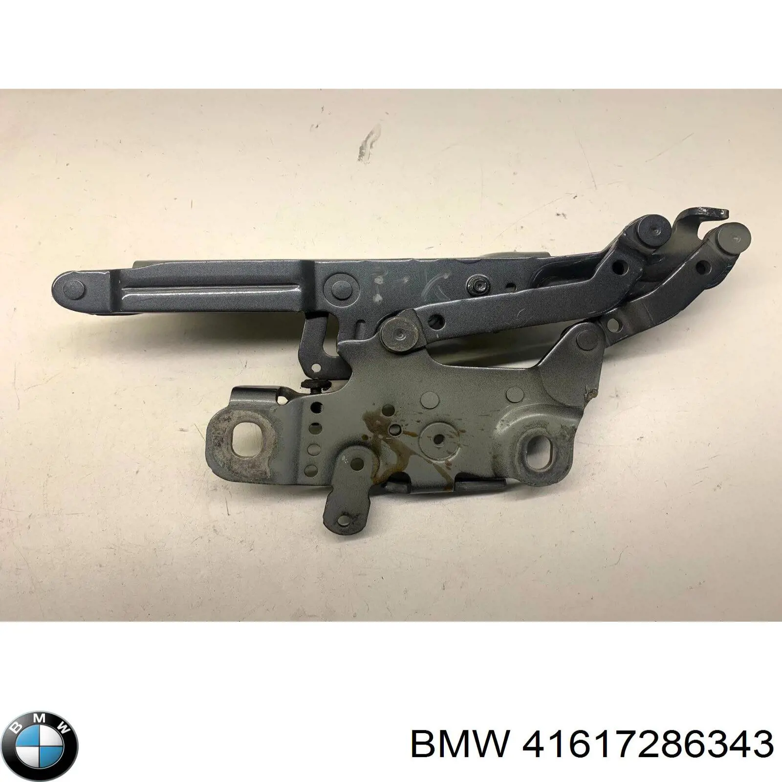 Gozno da capota esquerdo para BMW 2 (F23)