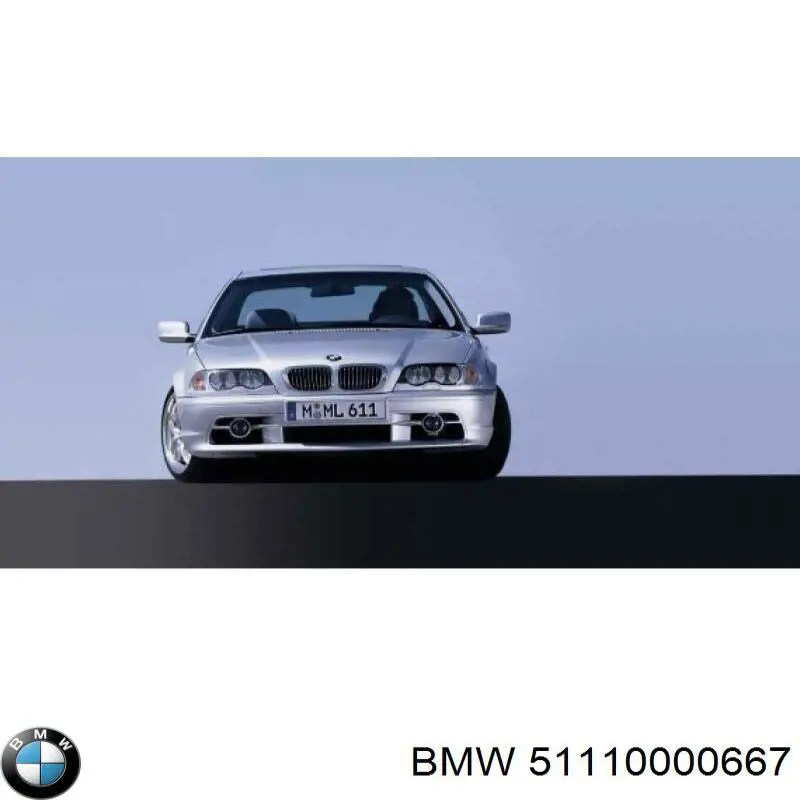  51110000667 BMW