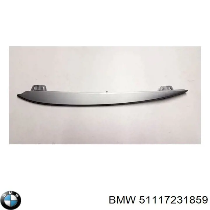 Молдинг бампера переднего левый 51117231859 BMW