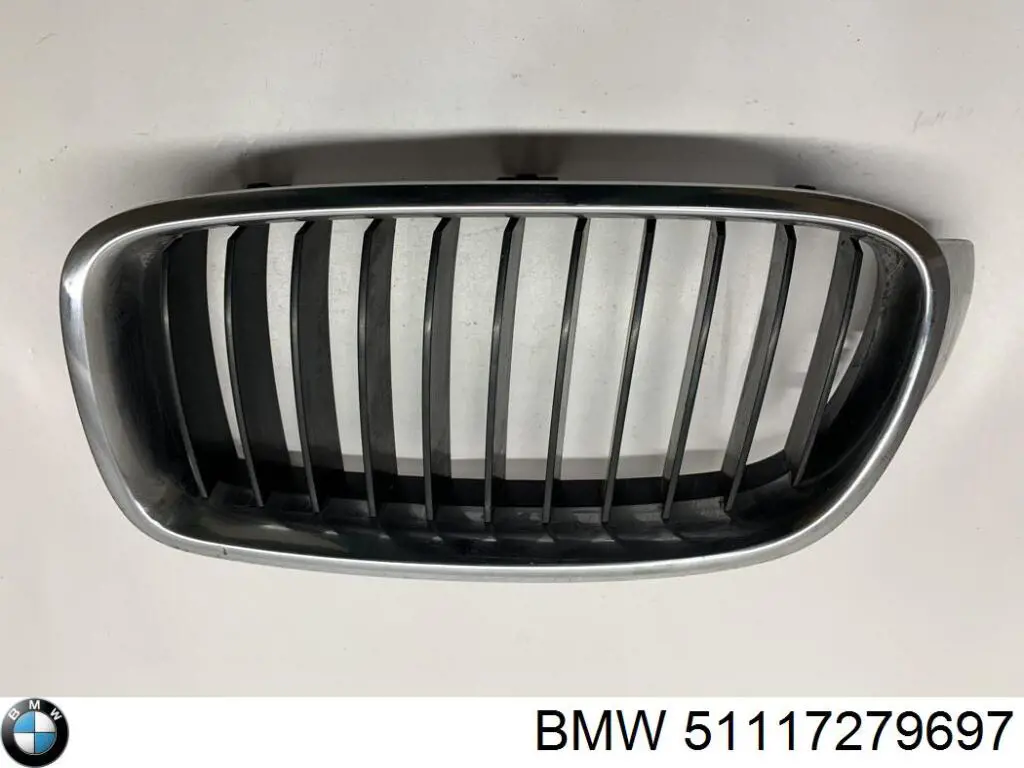 Молдинг решетки бампера переднего левый BMW 51117279697 цена, от 22.32 USD