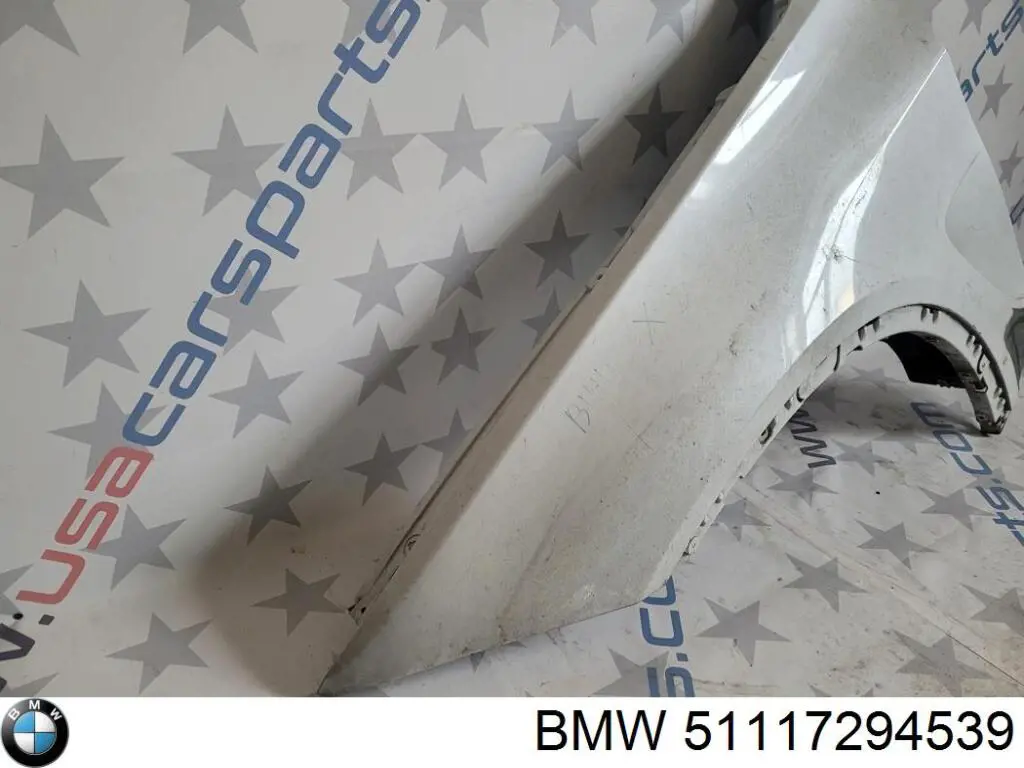 51117294539 BMW 