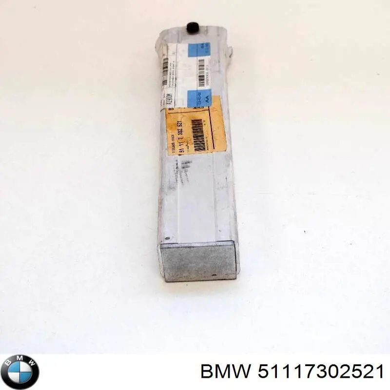 51117302521 BMW 