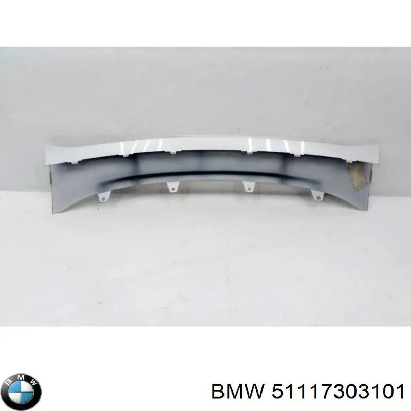 51117303101 BMW 
