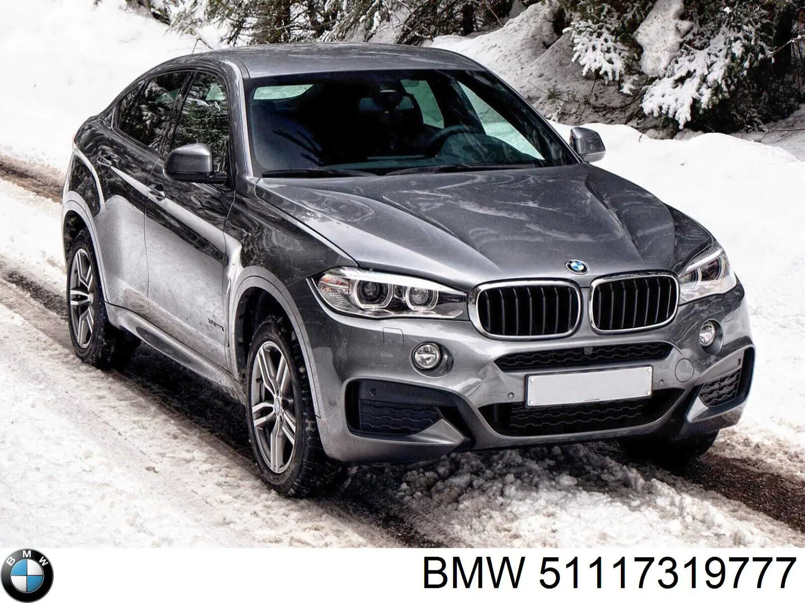 Заглушка (решетка) противотуманных фар бампера переднего левая BMW 51117319777