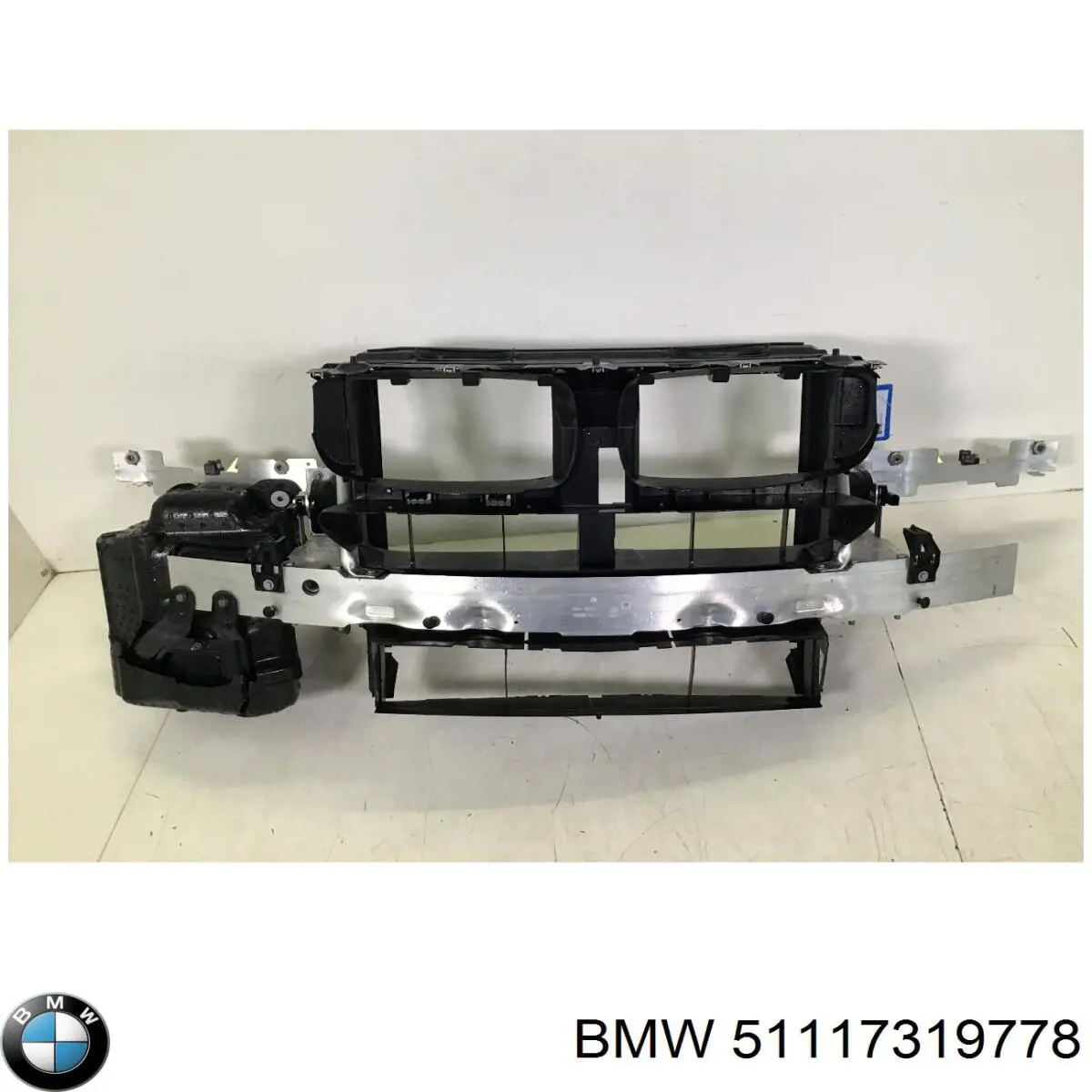 Заглушка, решетка противотуманных фар бампера переднего, правая BMW 51117319778 цена, от 35.51 USD