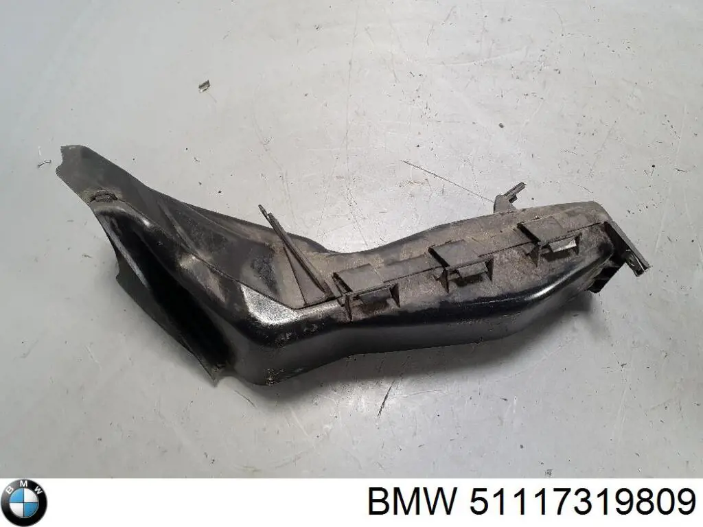 51117319809 BMW 