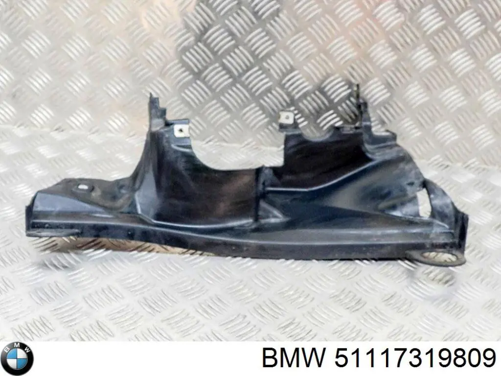  51117319809 BMW