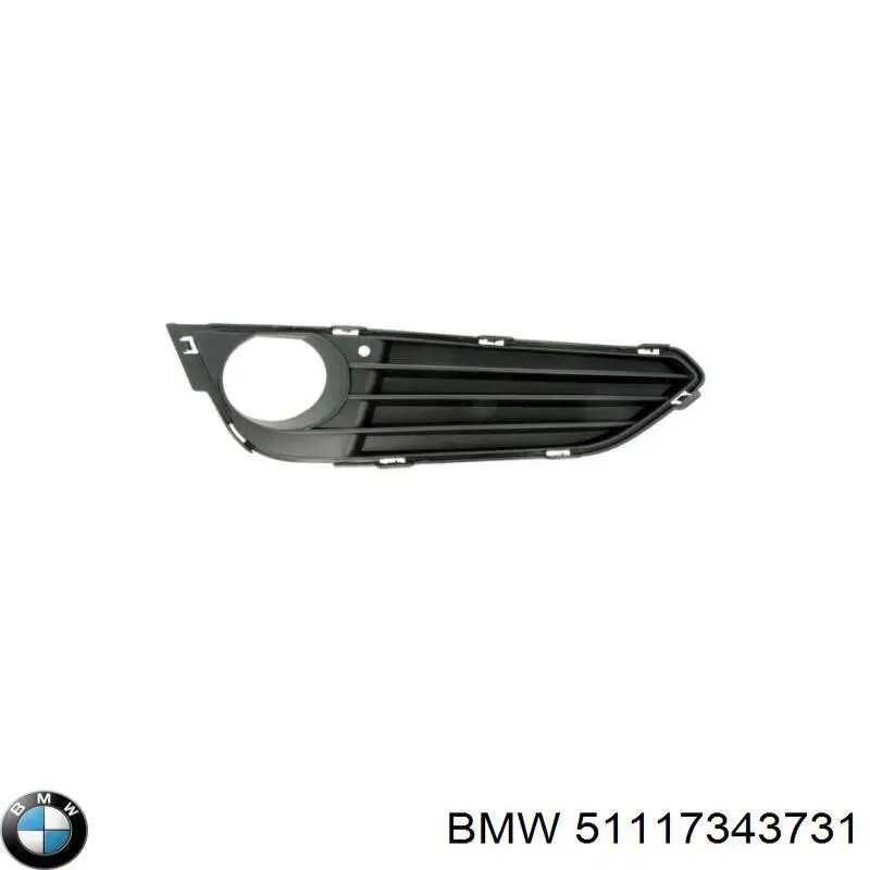 51117343731 BMW 