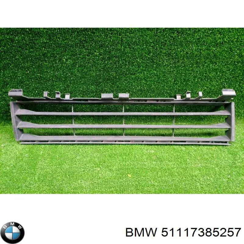 51117385257 BMW 