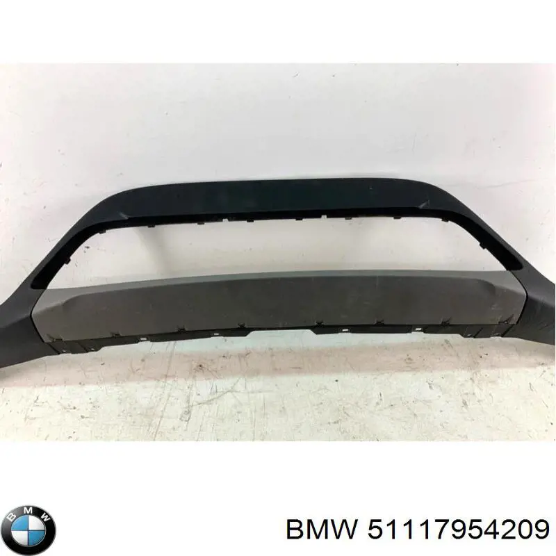 51117954209 BMW 