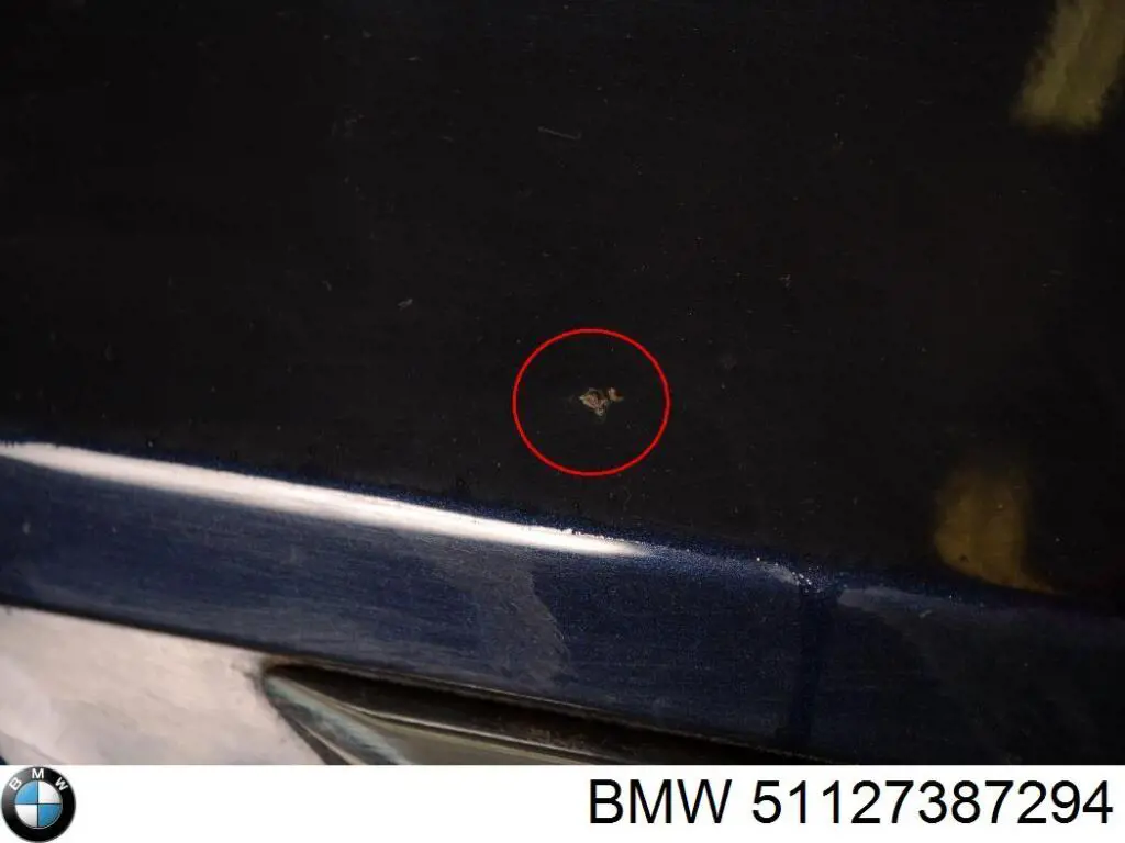  51127387294 BMW