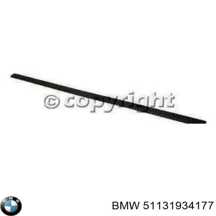 Молдинг двери передней левой BMW 51131934177 цена, от 116.58 USD
