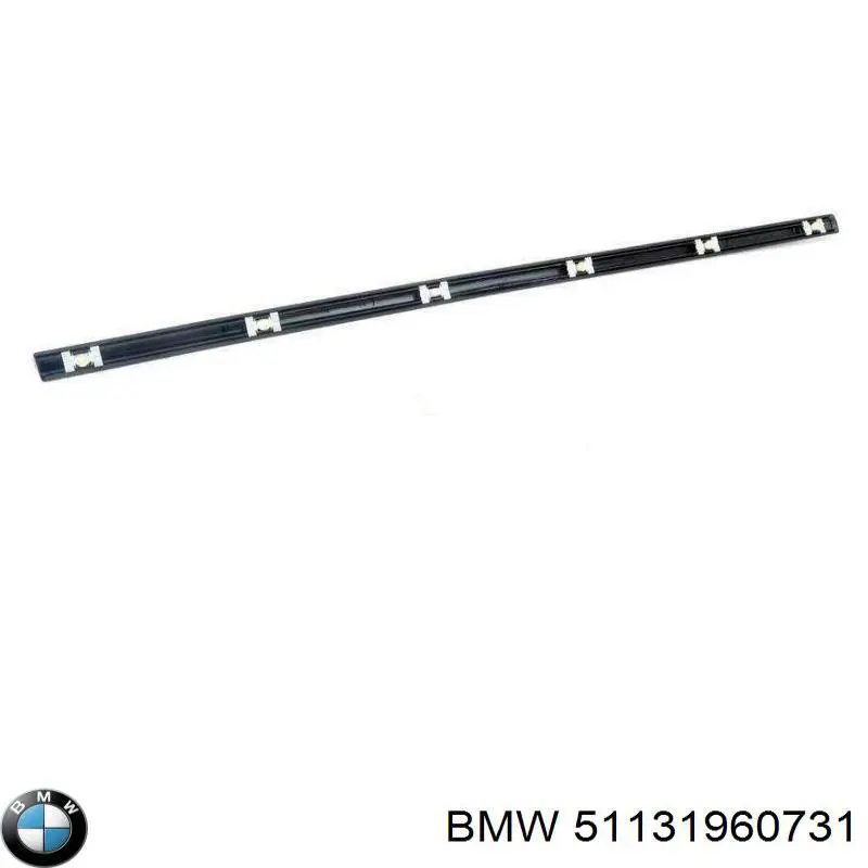 51131960731 BMW 