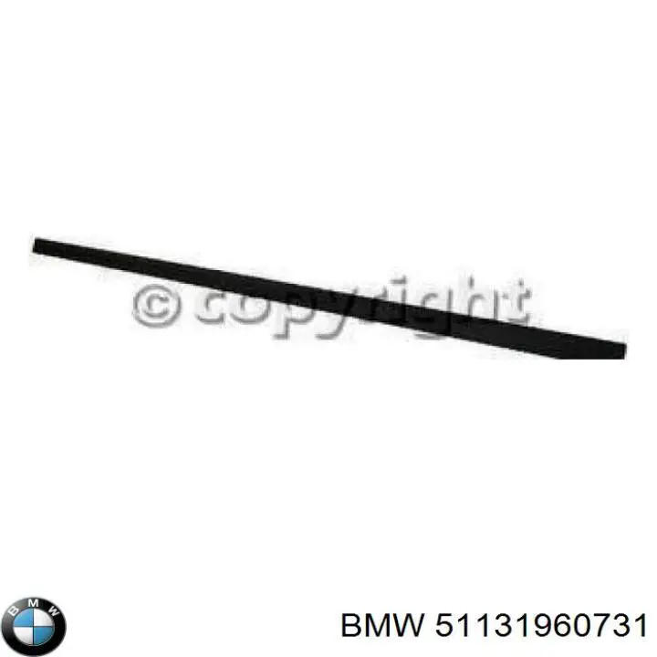 Купить 51131960731 BMW 