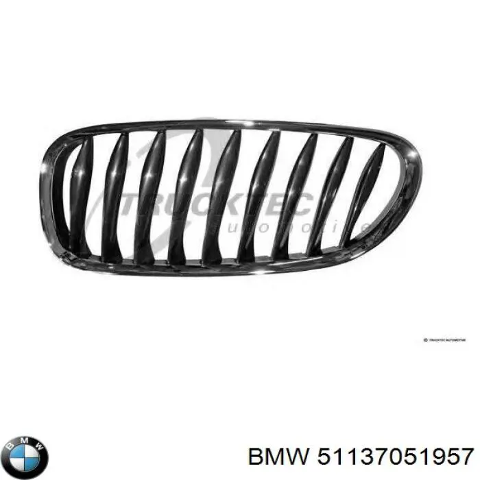 Решетка радиатора левая BMW 51137051957 цена, от 82.99 USD