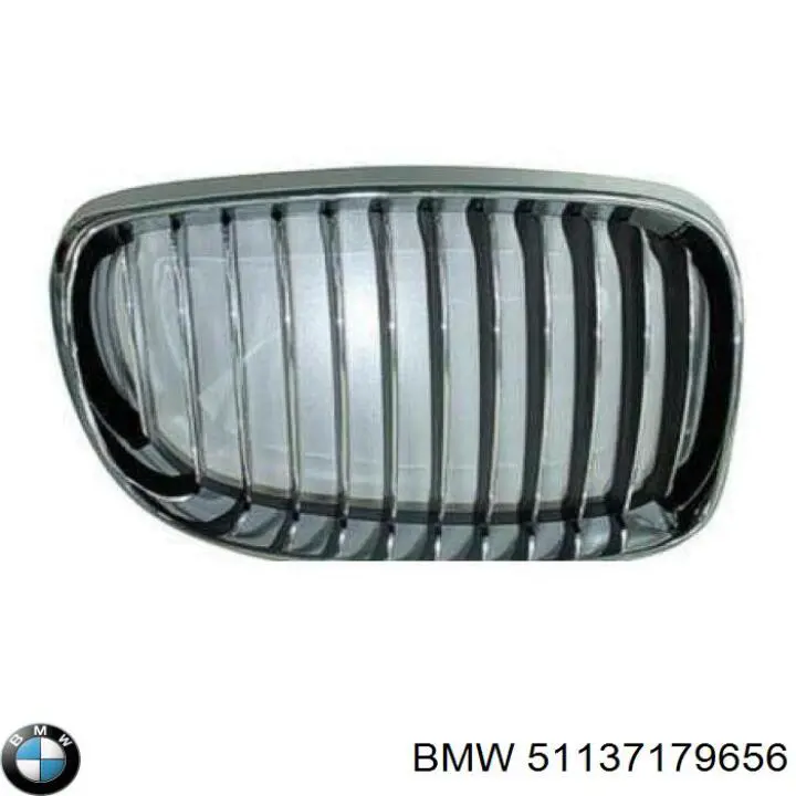 51137179656 BMW grelha do radiador direita