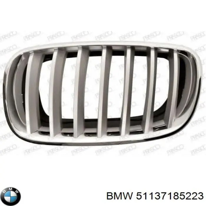 Решетка радиатора левая на BMW X5 (E70) купить.
