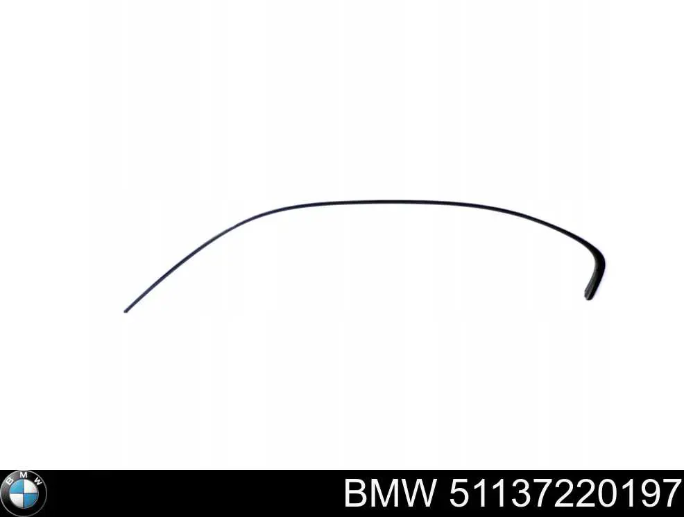 51137220197 BMW 