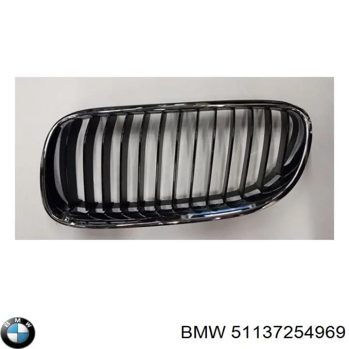 Решетка радиатора левая 51137254969 BMW