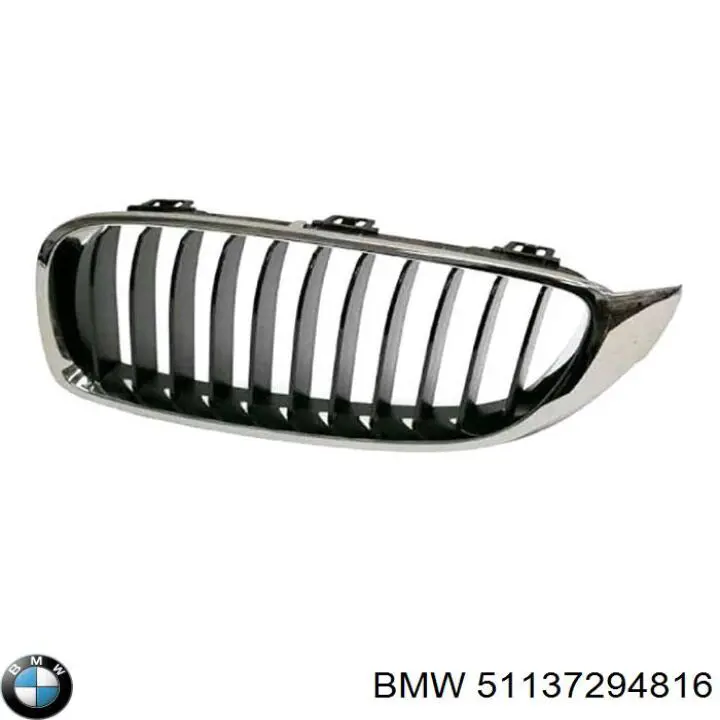 51137294816 BMW grelha do radiador direita