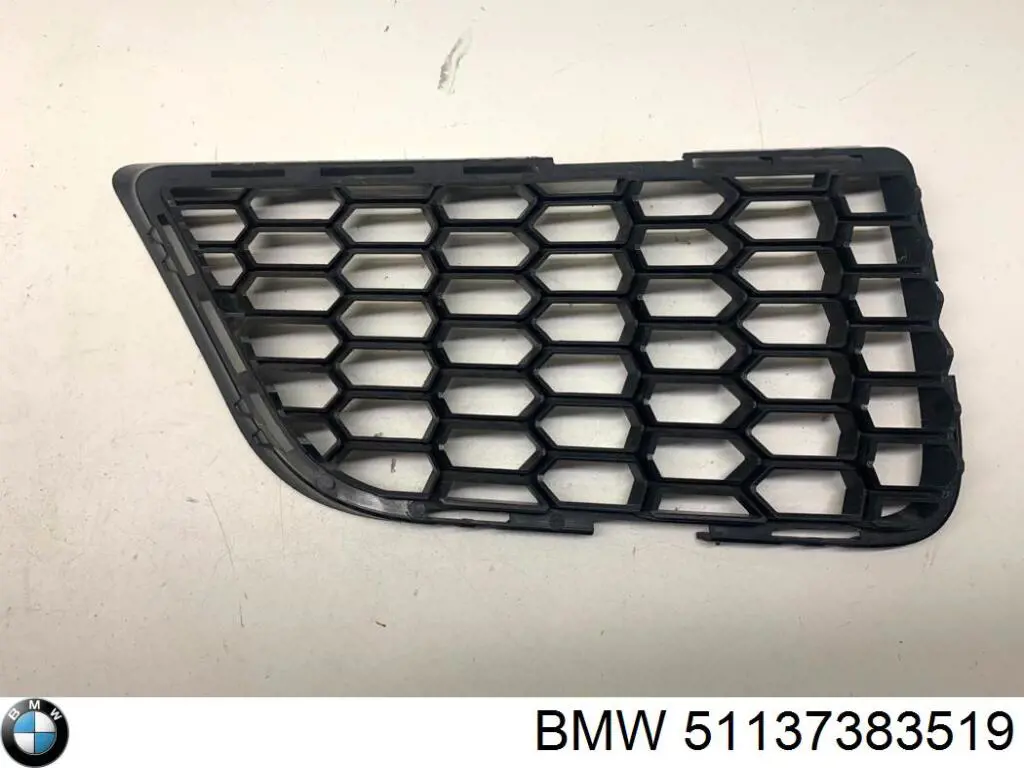 Решетка радиатора левая BMW 51137383519 цена, от 30.69 USD