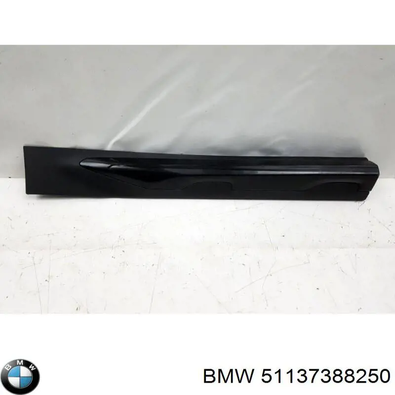 51137388250 BMW 