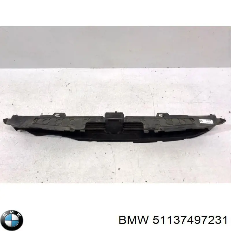 51137497231 BMW 