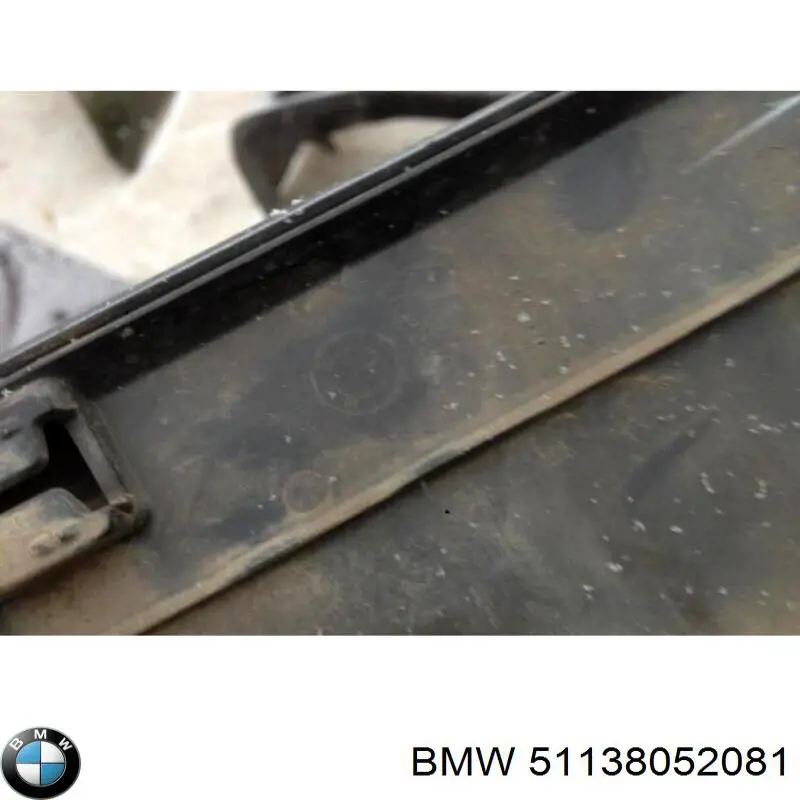 51138052081 BMW moldura da porta dianteira esquerda