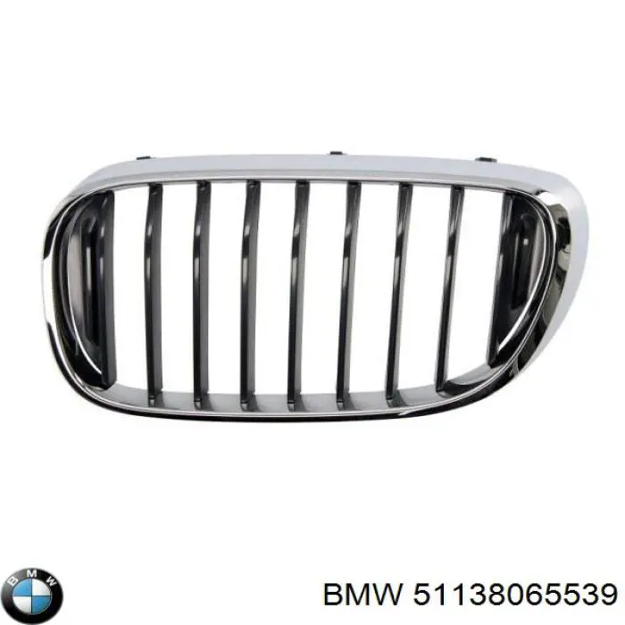 51138065539 BMW 