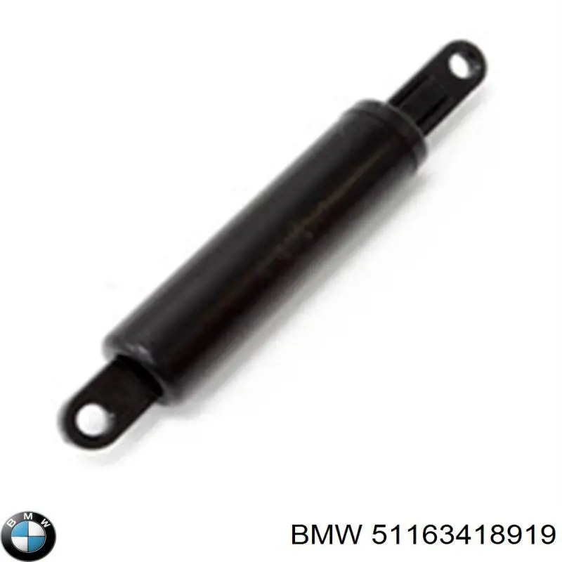  51163418919 BMW