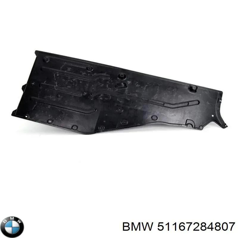  51167284807 BMW