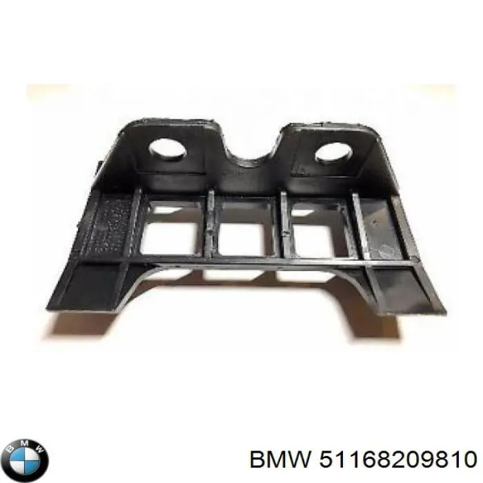 51168209810 BMW 