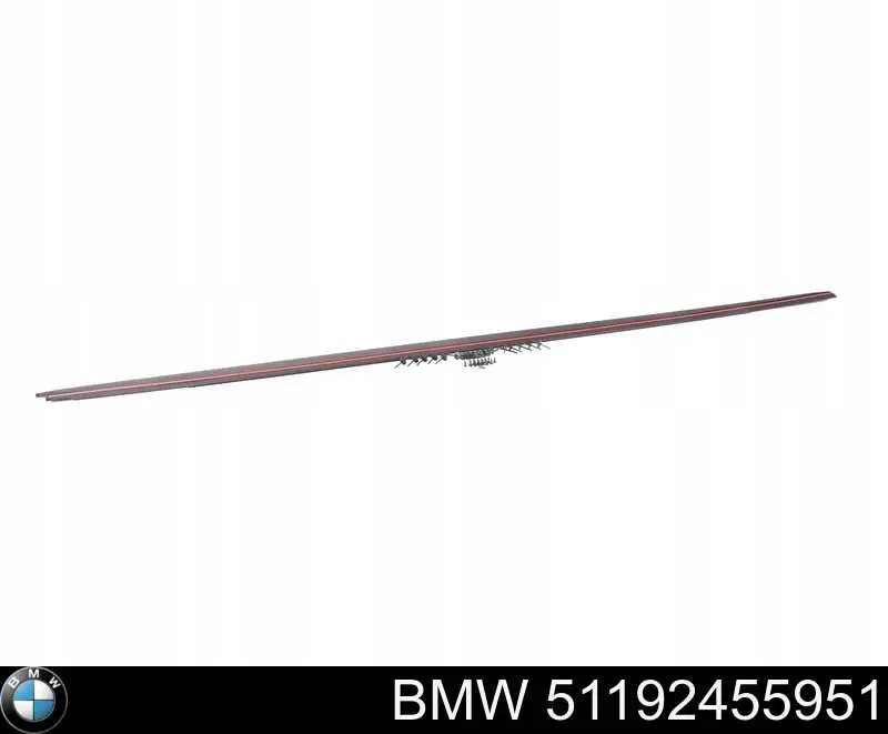 51192411019 BMW placa sobreposta (moldura externa esquerda de acesso)