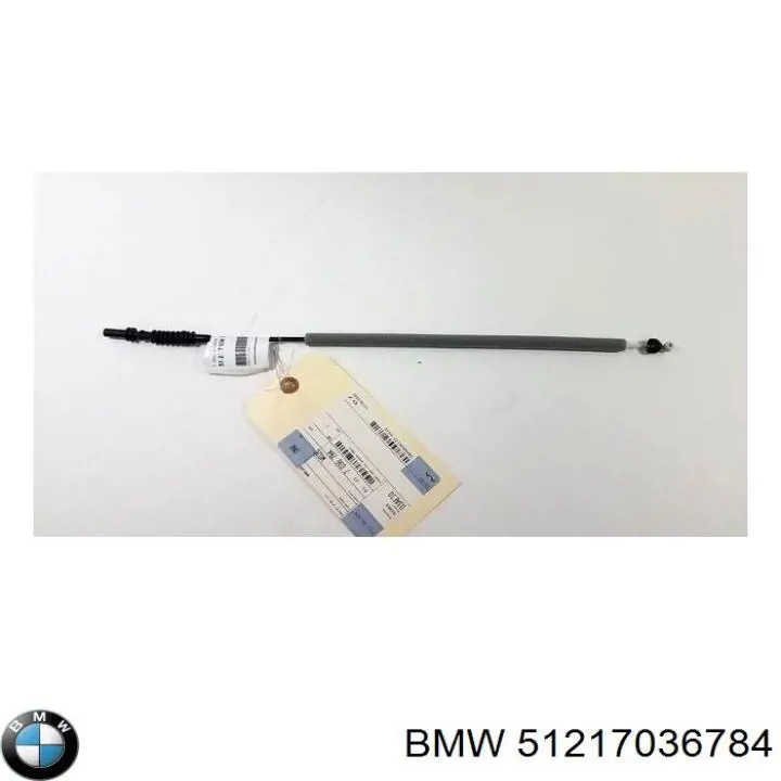  51217036784 BMW