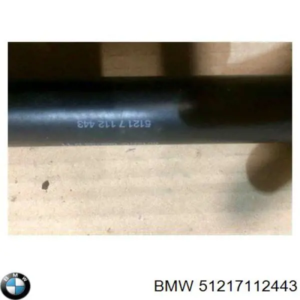 Купить 51217112443 BMW Ограничитель открывания двери передний левый