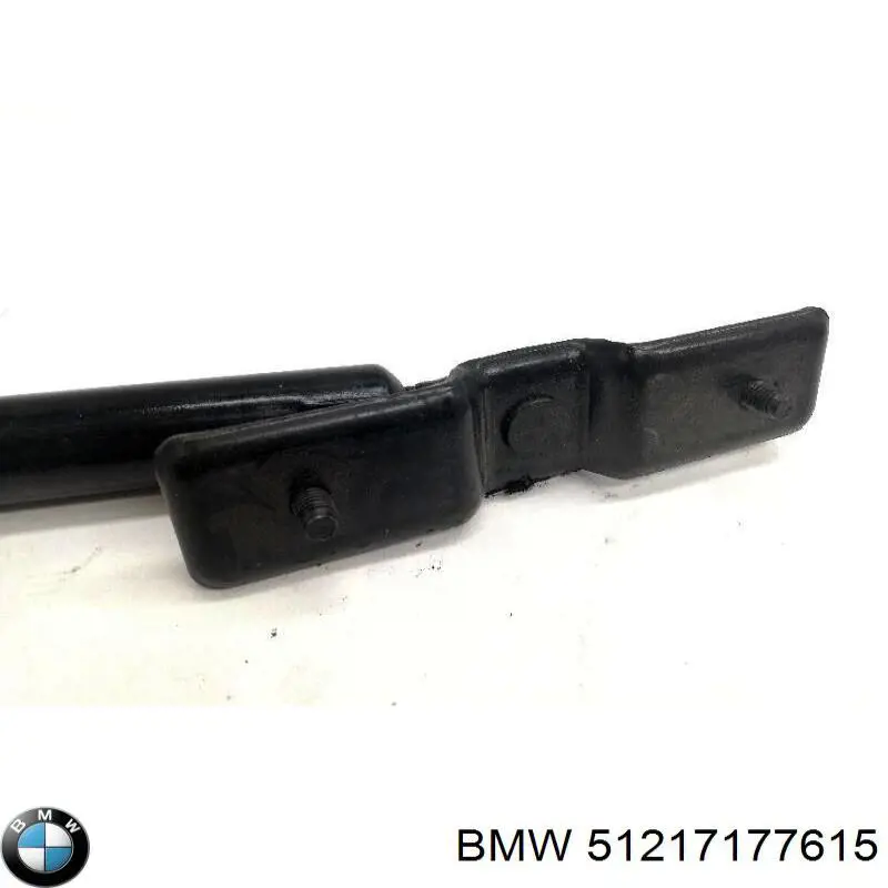 Купить 51217177615 BMW Ограничитель открывания двери передний левый