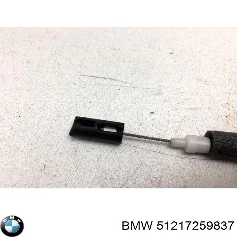  51217259837 BMW
