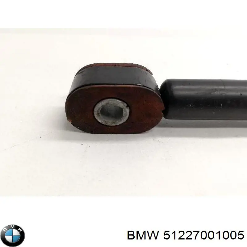  51227001005 BMW