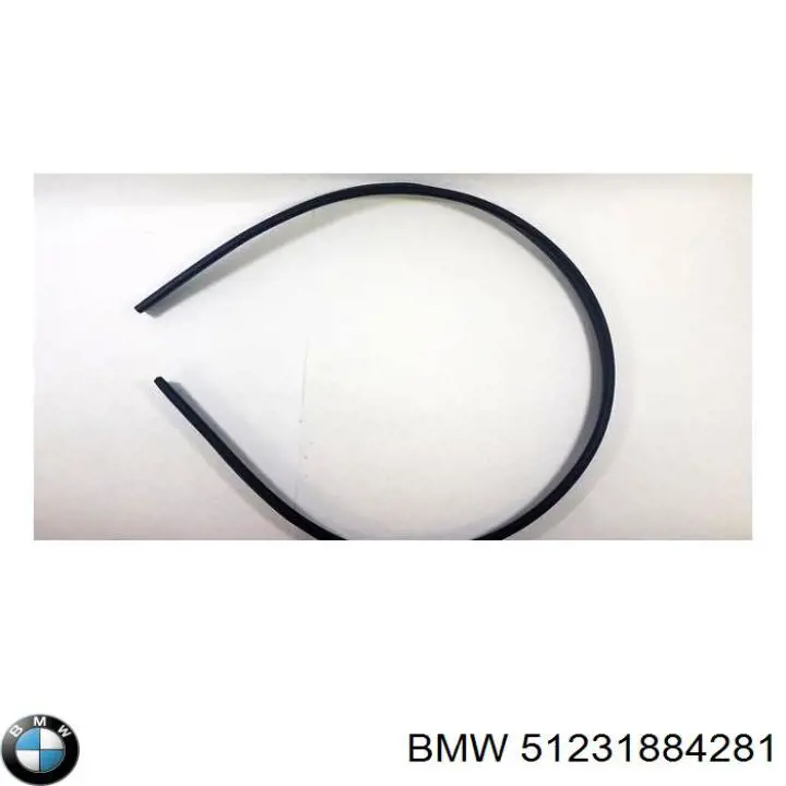 Купить 51231884281 BMW 